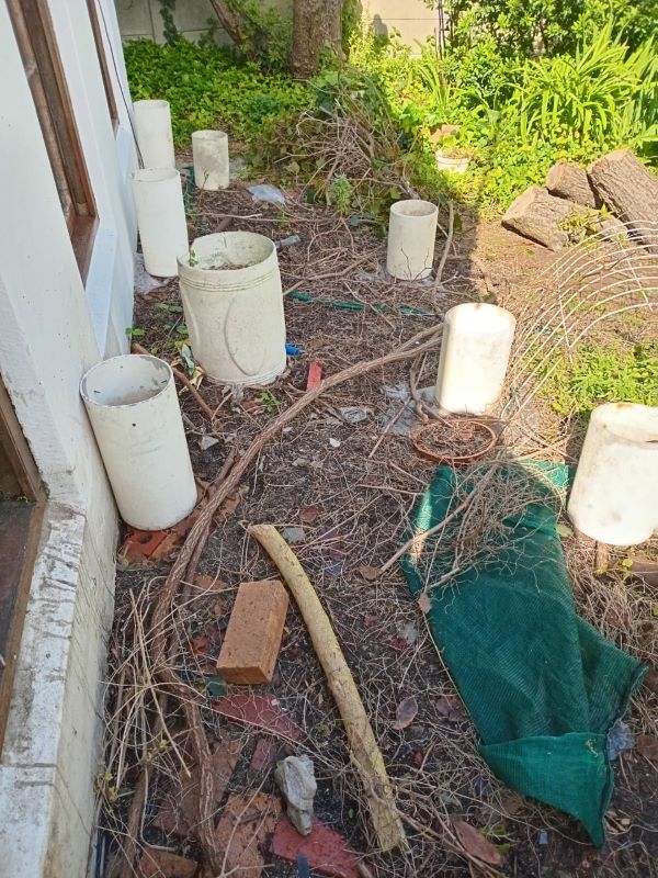 You can see the cement pots laid out and the vine lying on the ground