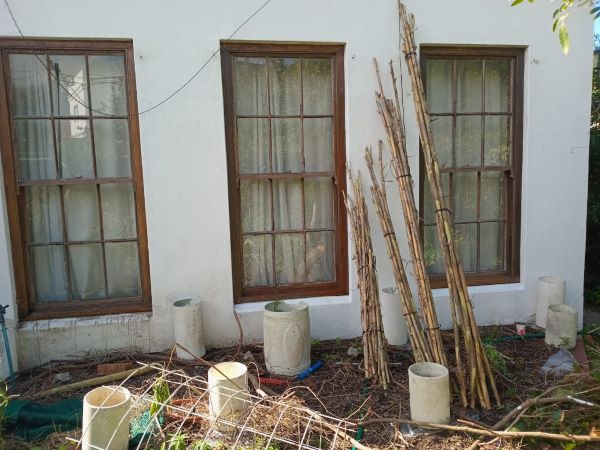 bamboo lengths waiting to be assembled