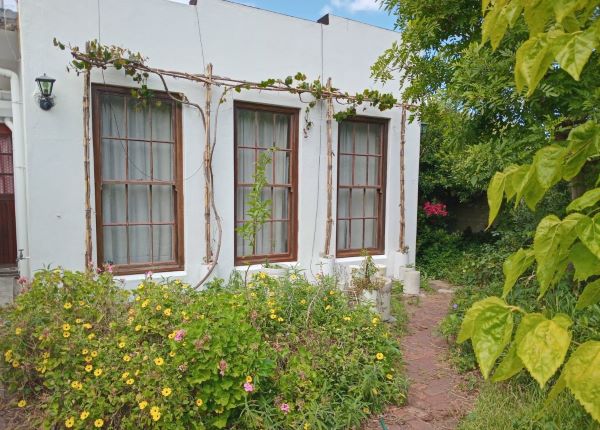 Bamboo vine trellis