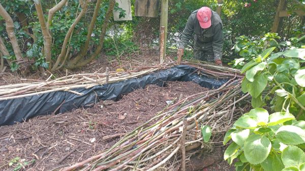 deadhedge raised bed