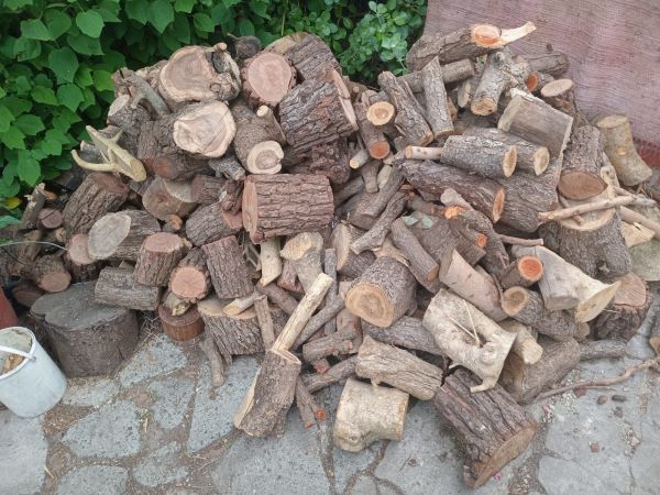 woodpiles