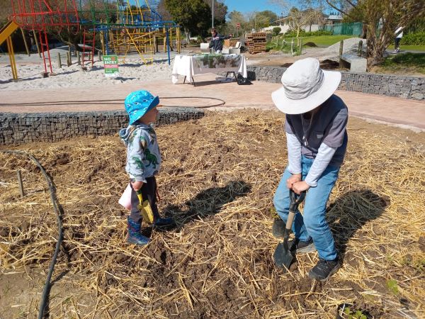 volunteers planting plants