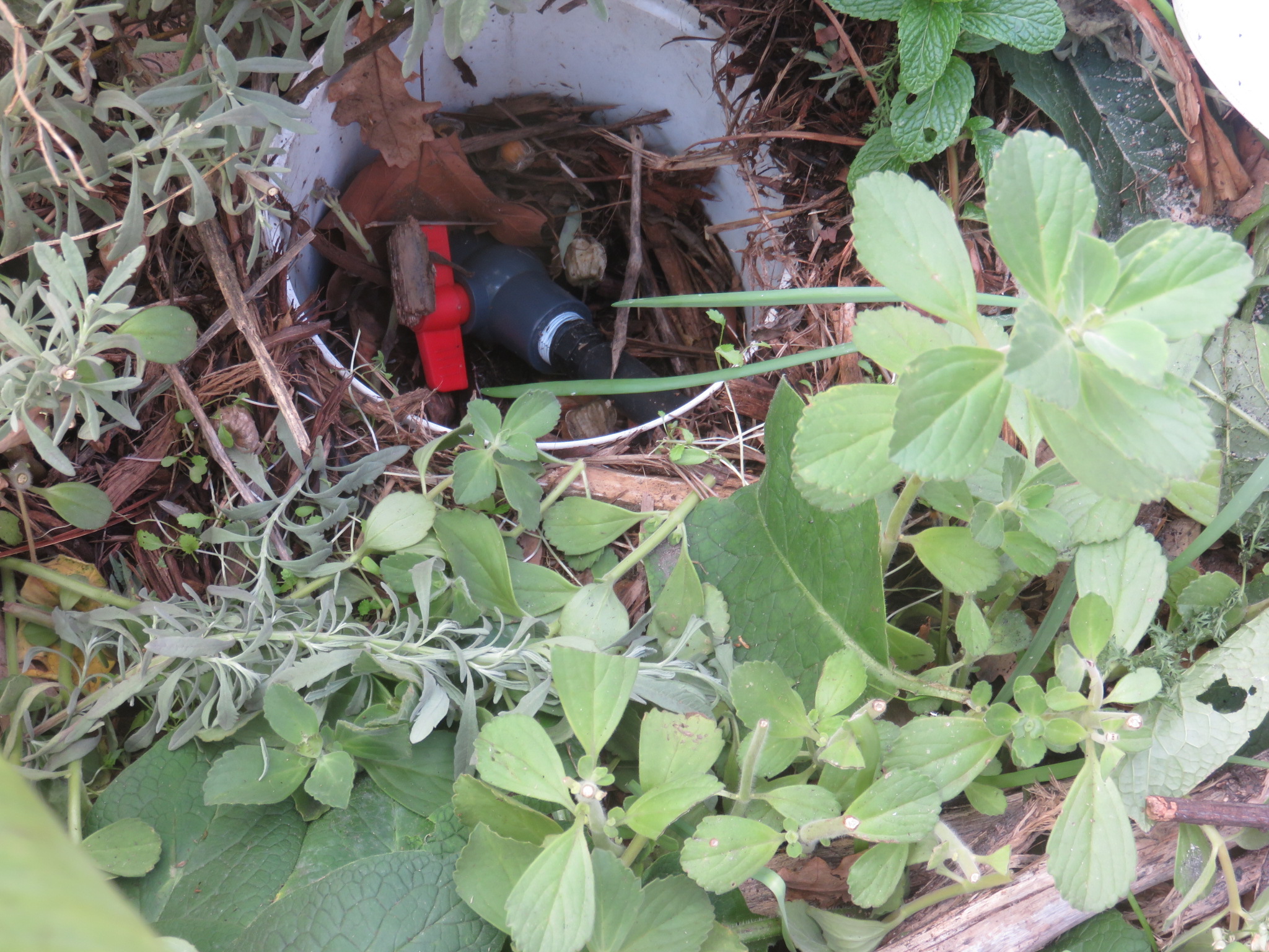 outlet valve protected by bucket buried in mulch pit