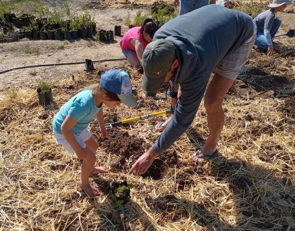 families building communal wild flower gardens