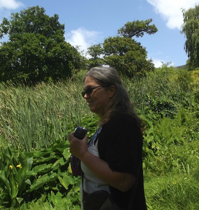 in the wet, this thick river vegetation will slow the flow