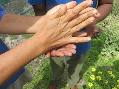 Rubbing to get carrot seed